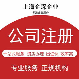 青浦區(qū)代理記賬服務(wù) 選擇專業(yè)財務(wù)公司助您高效經(jīng)營